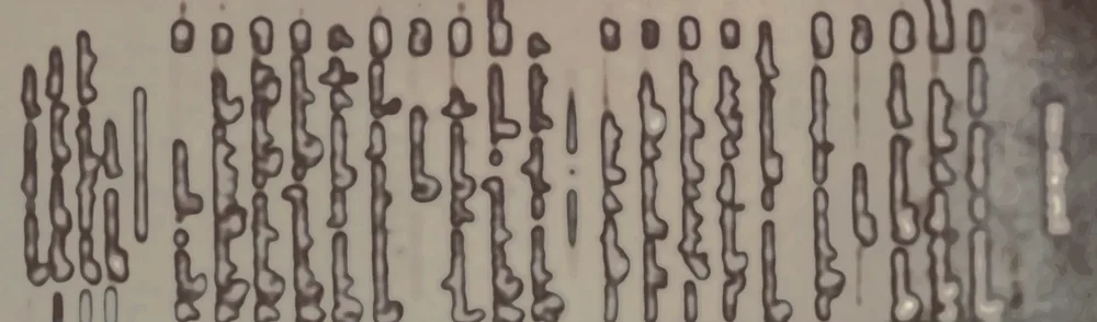 New ancient language