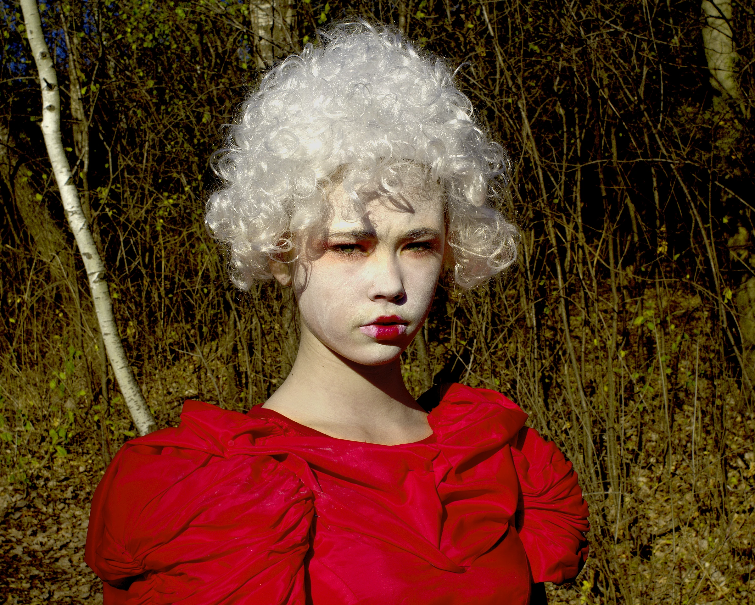 A figure in a red dress against birch trees