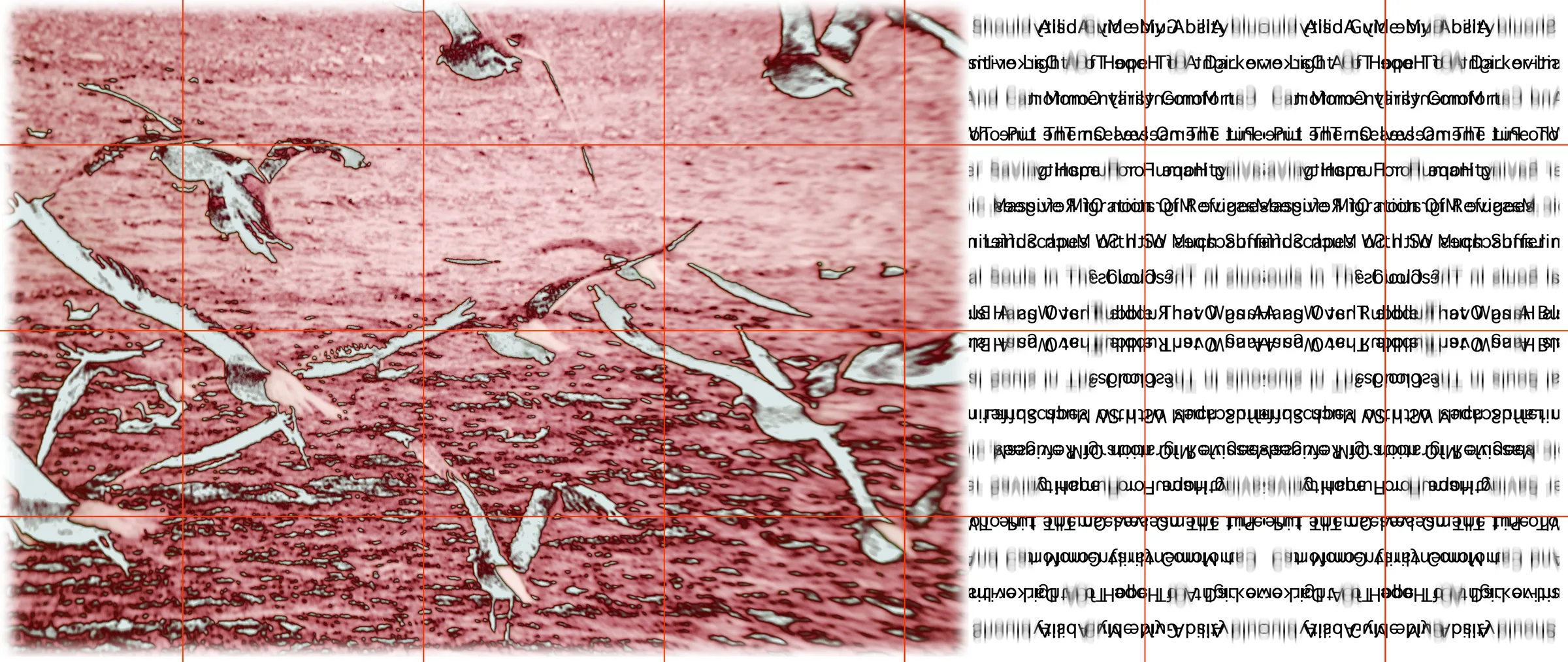 Twelve seagulls in flight, composed against an open sky