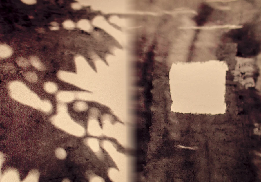 Two textures folded — sepia leaf-shadows on the left, a white square patch on a dark stained surface to the right.